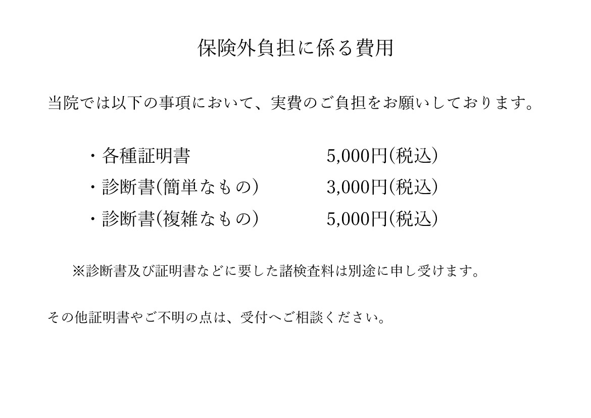 保険外負担に係る費用